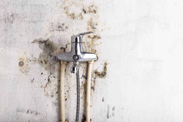 Best Water Damage Restoration  in West Chicago, IL