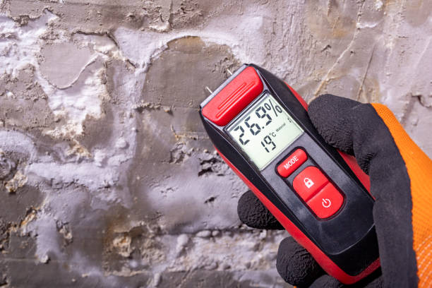 Professional Mold Removal in West Chicago, IL