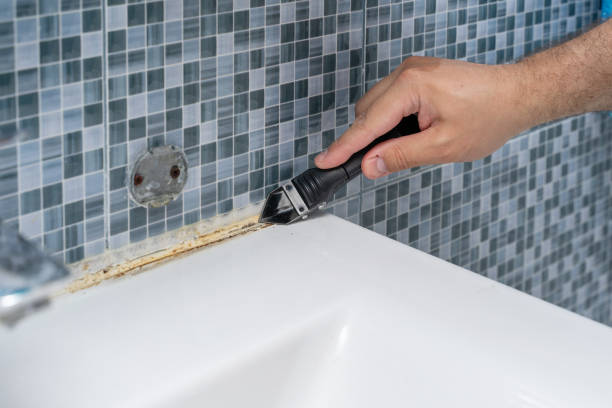 Best Emergency Mold Removal  in West Chicago, IL