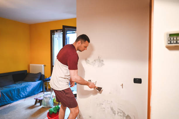 Best Water Damage Restoration  in West Chicago, IL